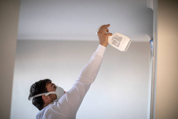 Best Local Mold Removal Service  in Braddock, VA