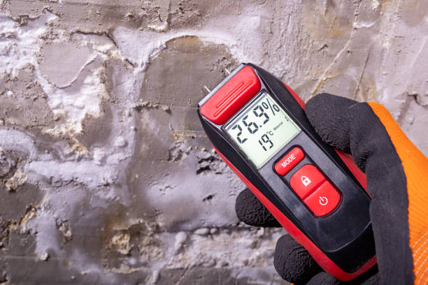Best Mold Cleaning Services  in Braddock, VA