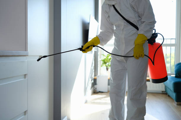 Best Water Damage Restoration  in Braddock, VA