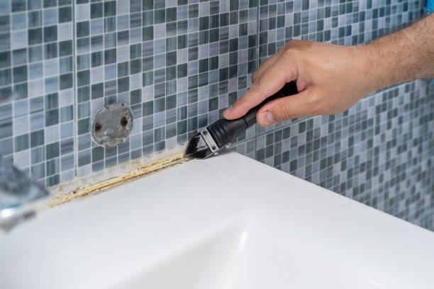 Mold Testing and Removal in Braddock, VA