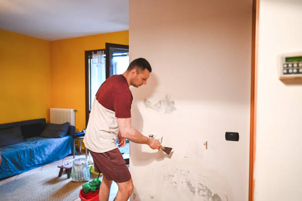 Best Mold Damage Repair  in Braddock, VA